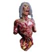 Picture of Halloween Horror Zombie Decoration